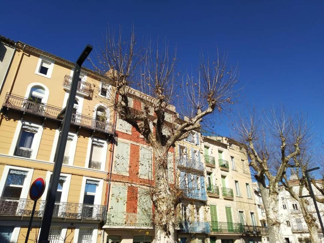 Entre Ville Et Canal, Calme Et Central !Gare A 700 M Narbona Exterior foto
